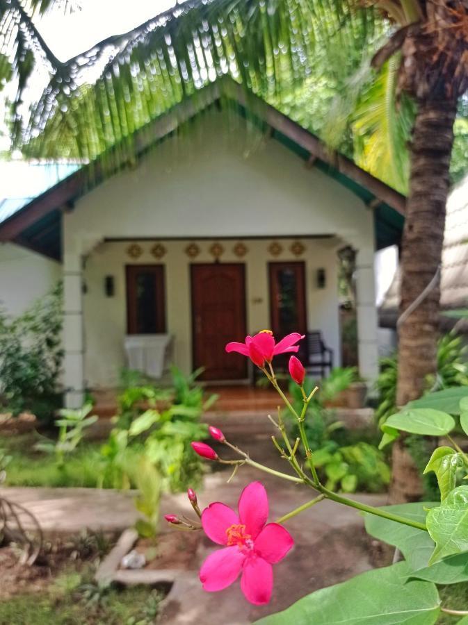 Follow The Rabbit Bungalow Gili Air Exterior foto