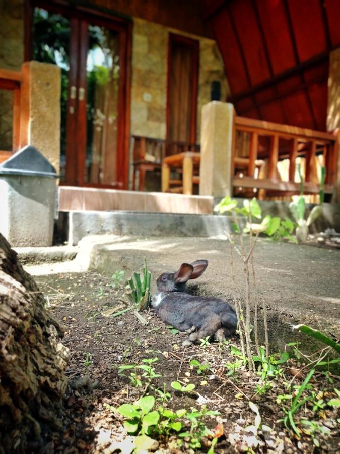Follow The Rabbit Bungalow Gili Air Exterior foto